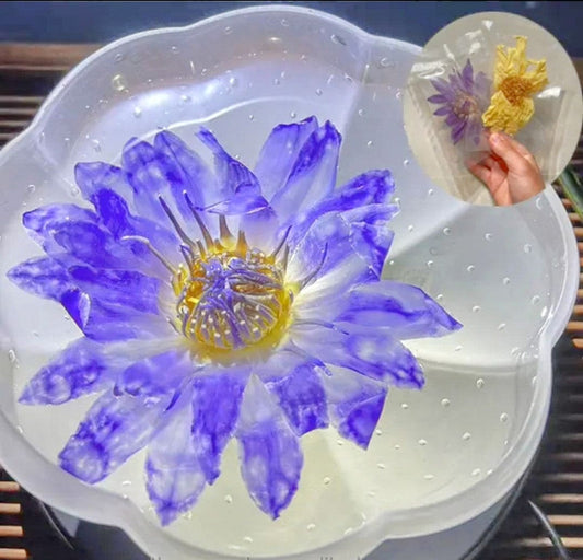 Premium Blue Lotus Meditation Tea Flower.